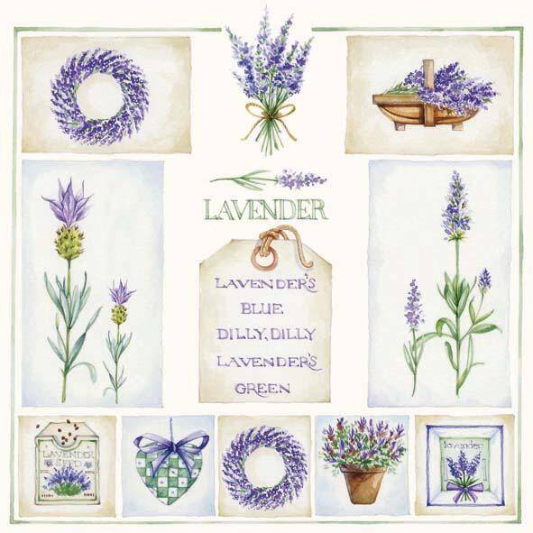 Lavender`s