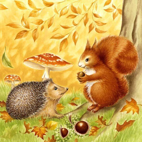 Hedgehog and Squirrel