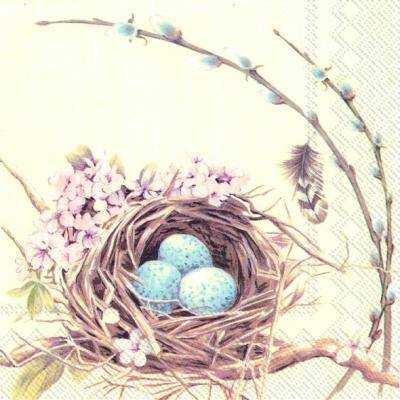 Bird`s Nest With Eggs