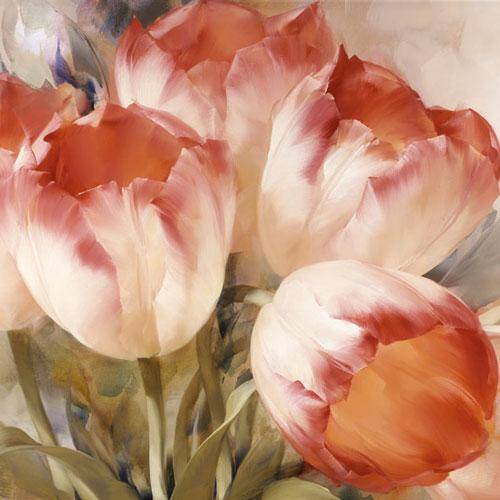 Tulips Dream