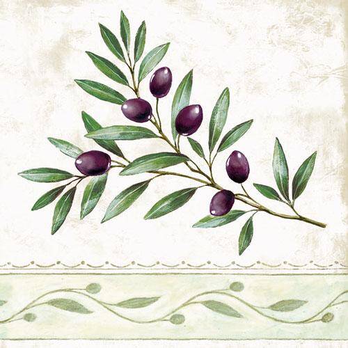 Olive branch