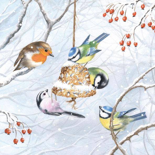 Winterbirds