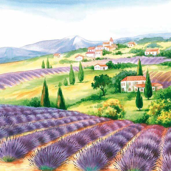 Lavender Fields