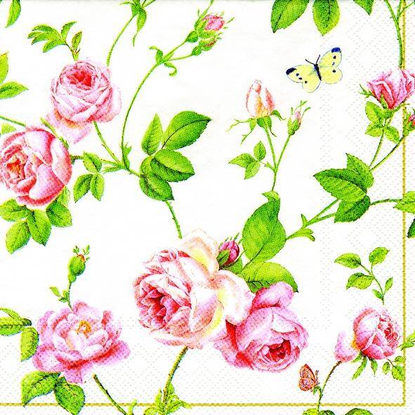 Rambling Rose white