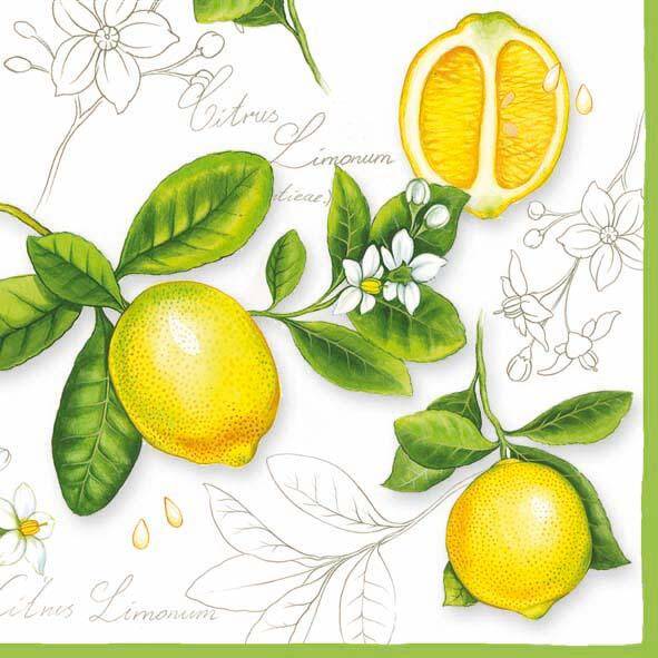 Citrus Limonum