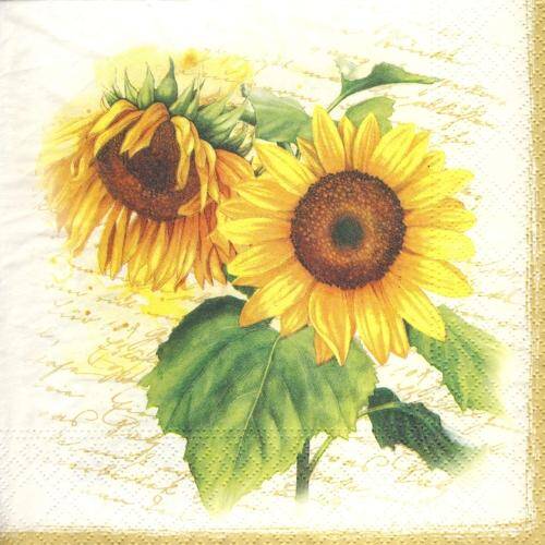 Helianthus gold