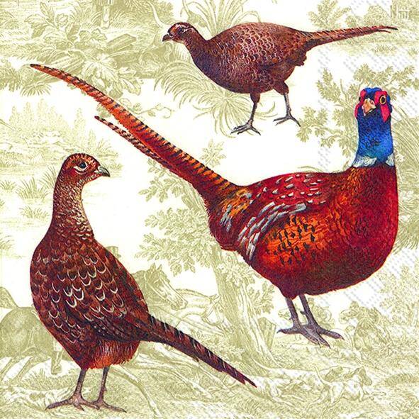 Pheasant Scene