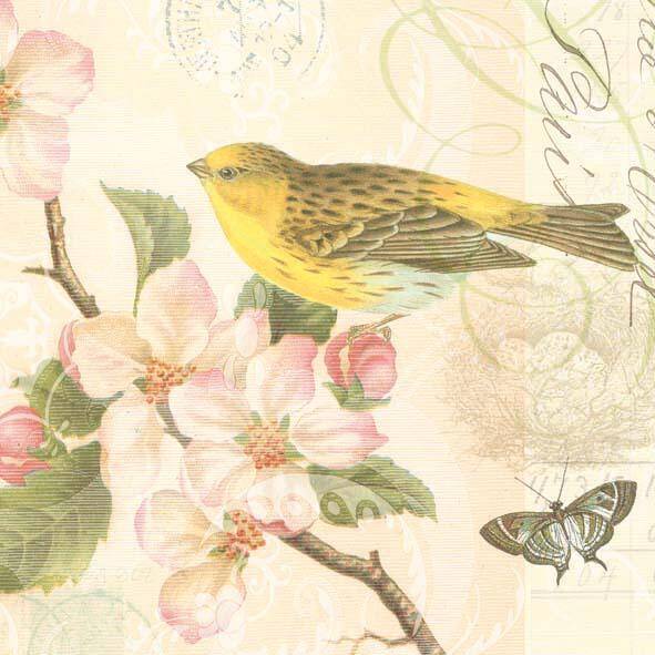 Bird and Blossom