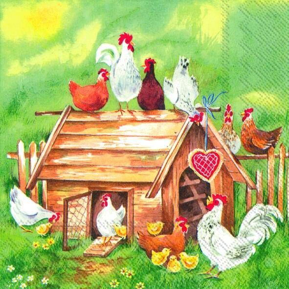 Lovely Chicken Farm