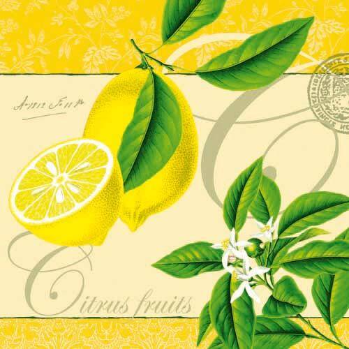 Citrus Fruits Yellow