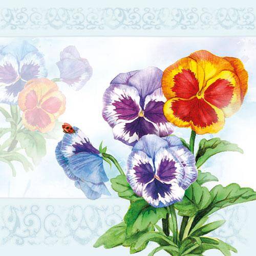 Aquarell Pansy