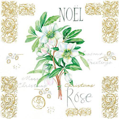 Noel Rose