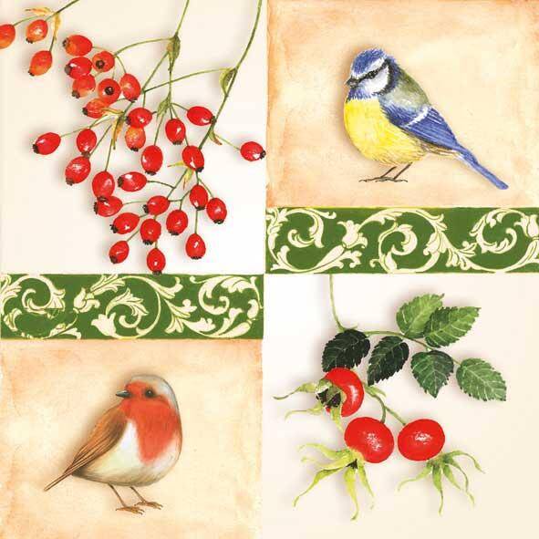 Birds Berries