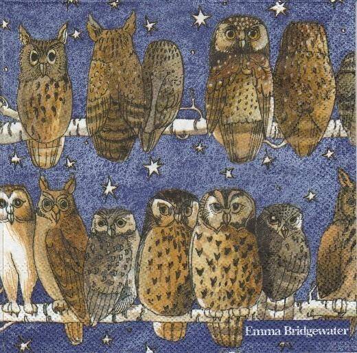 Owls