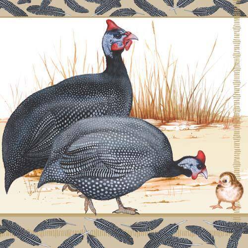 Guinea Fowl