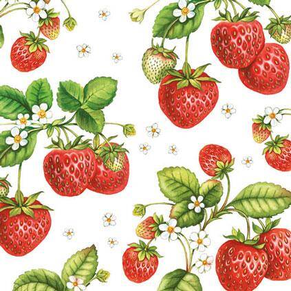 Strawberry Plant