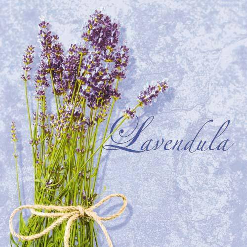 Lavendula Lila