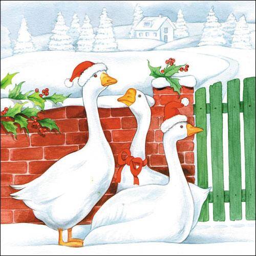 Christmas geese