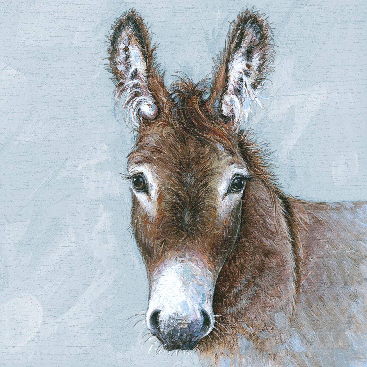 Young donkey