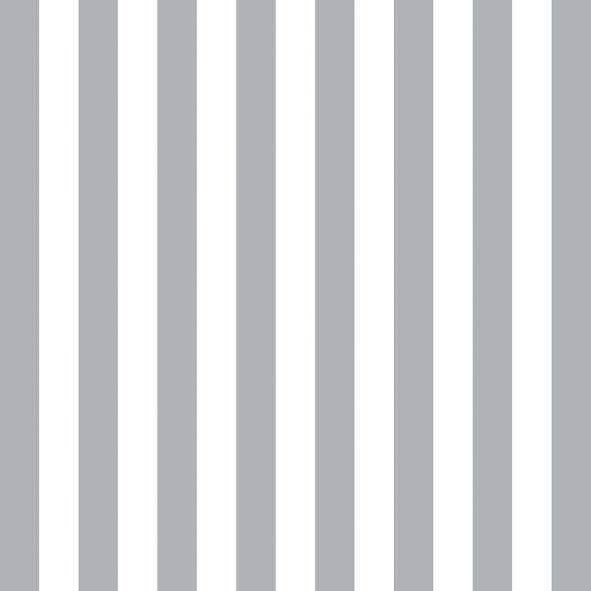 Stripes Silver