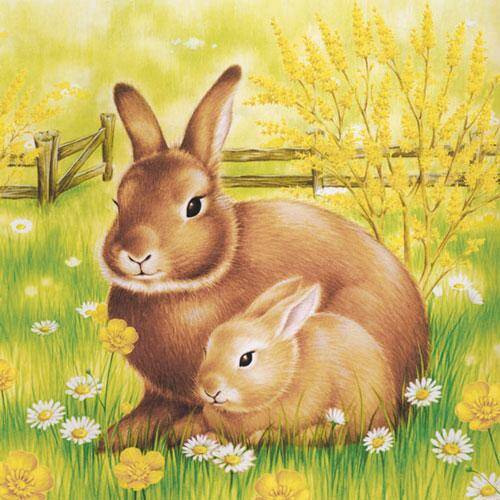 Easter Rabbits