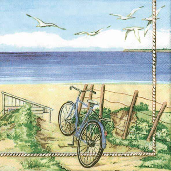 Beach Bicycle