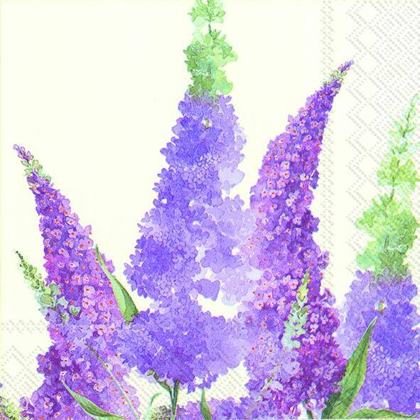 Buddleia cream