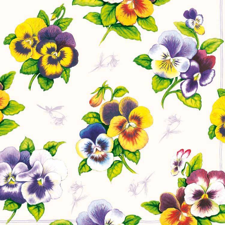 Pansy White