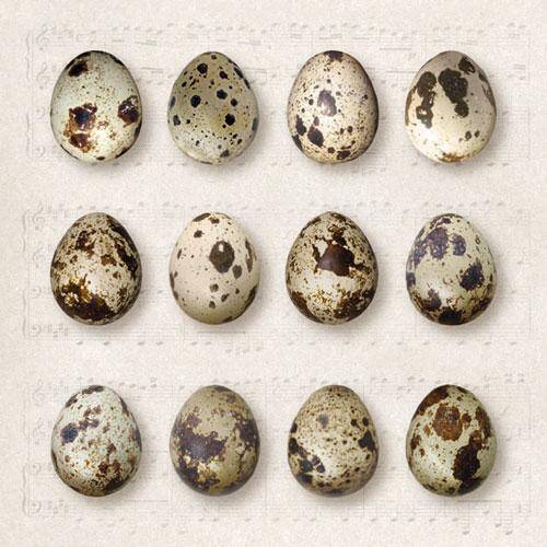 Quail Eggs