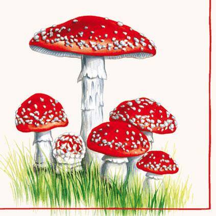 Fly Agaric