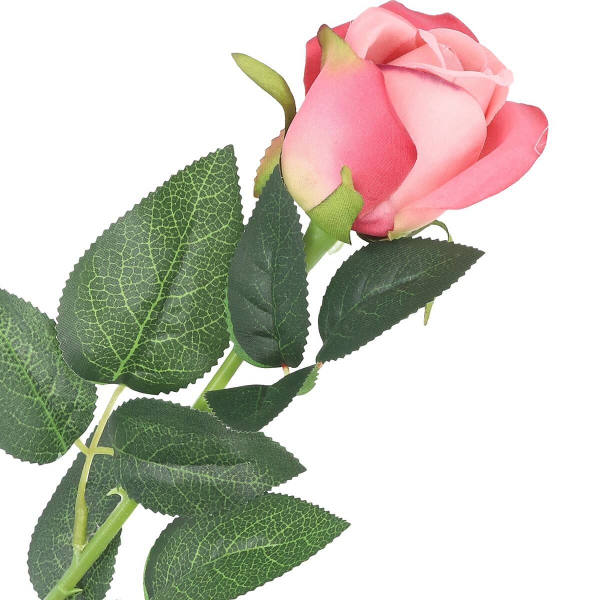 Róża pojedyncza 62cm 6cm  pudrowy róż (Zdjęcie 1)