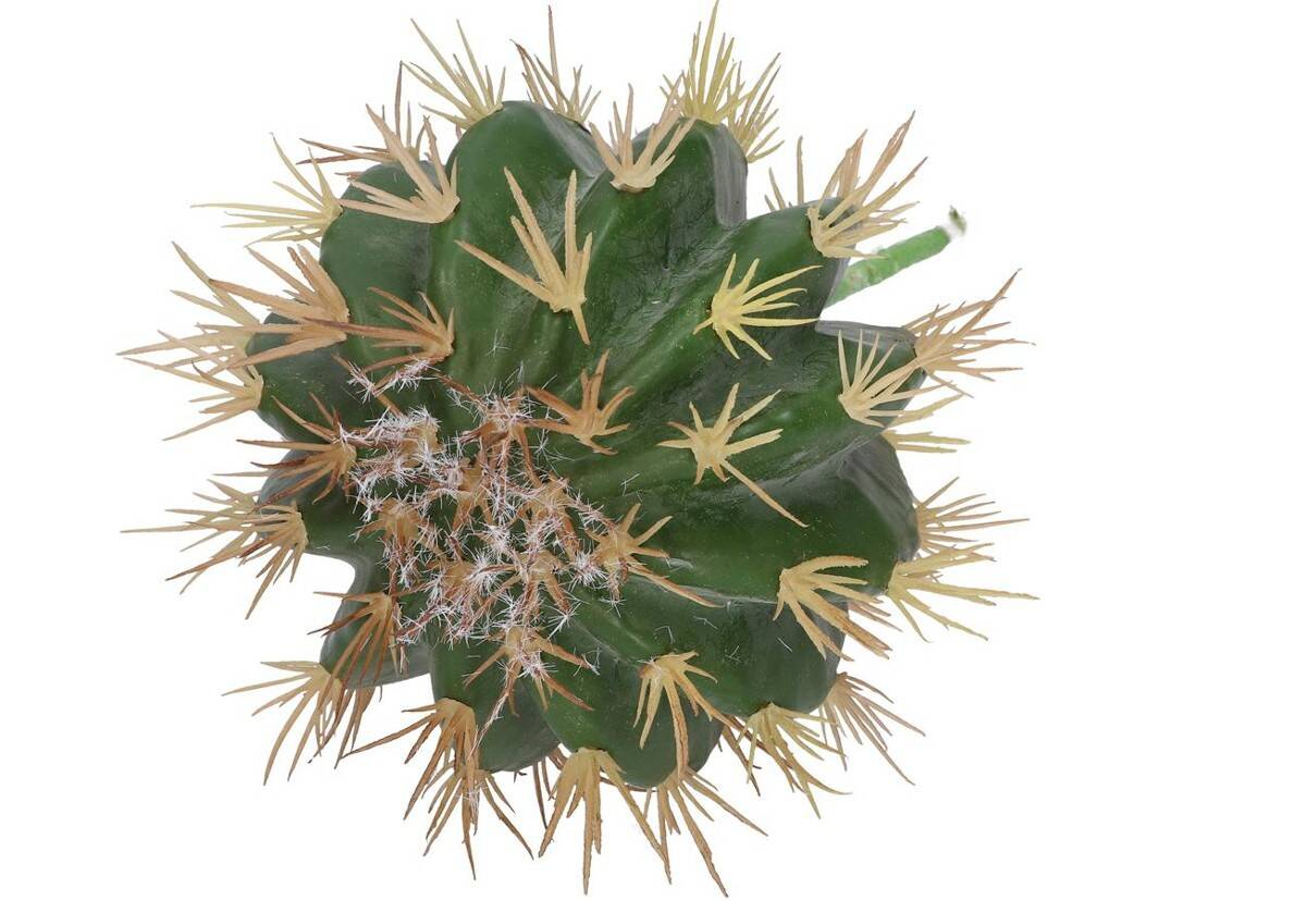 Kaktus dekoracyjny echinocactus 22/13cm (Zdjęcie 3)