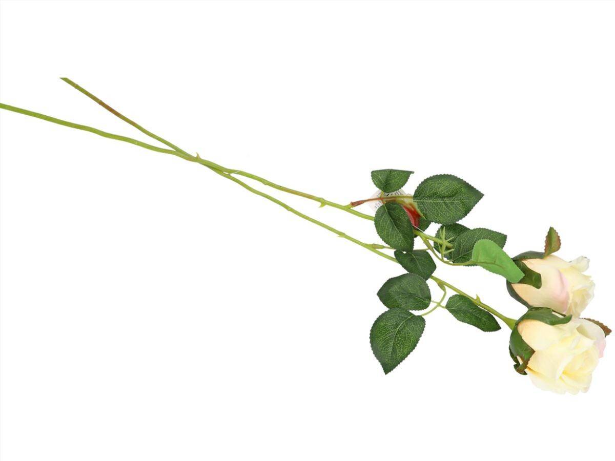 Róża pojedyńcza 57cm pąk 6cm krem (Zdjęcie 2)