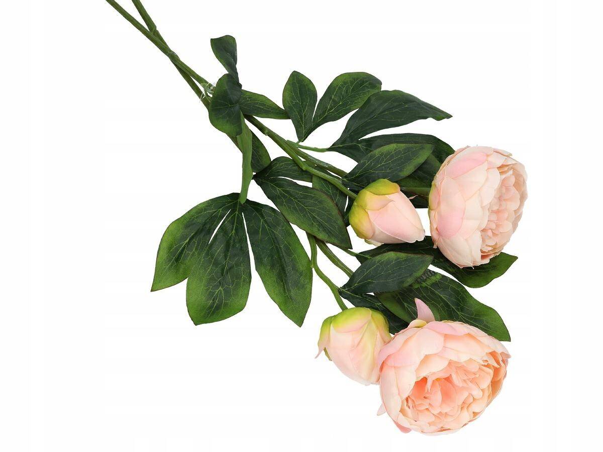 Peonia z pąkiem 65cm różowa (Zdjęcie 9)