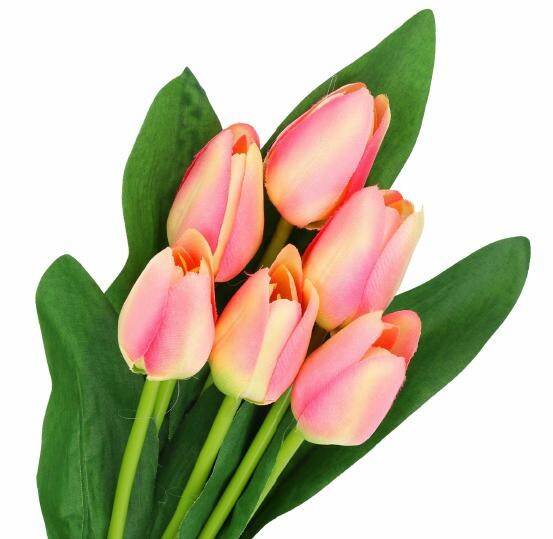 Bukiet tulipanów 6 szt. (Zdjęcie 1)