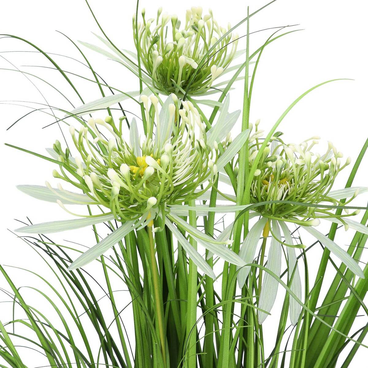 TRAWA W DONICZCE 70cm białe kwiatost (Zdjęcie 3)