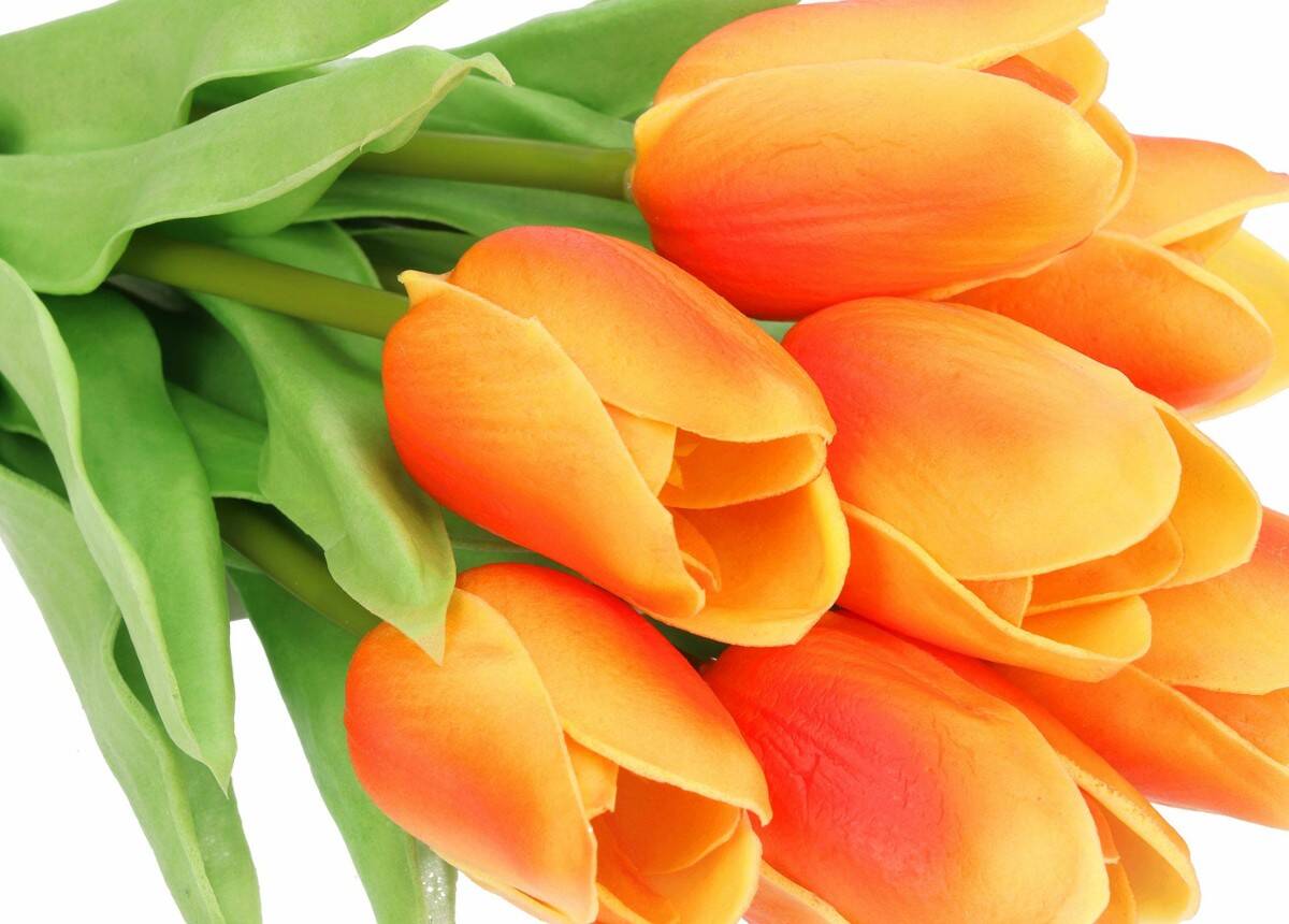 Bukiet tulipanów 7 szt. pomarańczowe (Zdjęcie 3)
