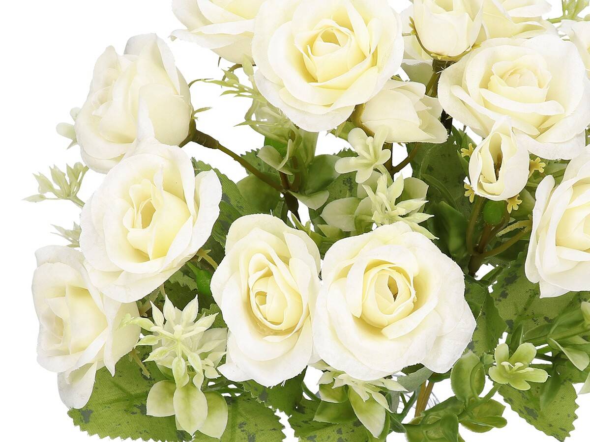 Bukiecik różyczek 12+3 -sztu.rośl. biały (Zdjęcie 4)