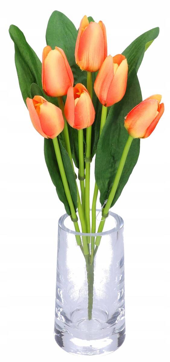 Bukiet tulipanów 6 szt. (Zdjęcie 8)