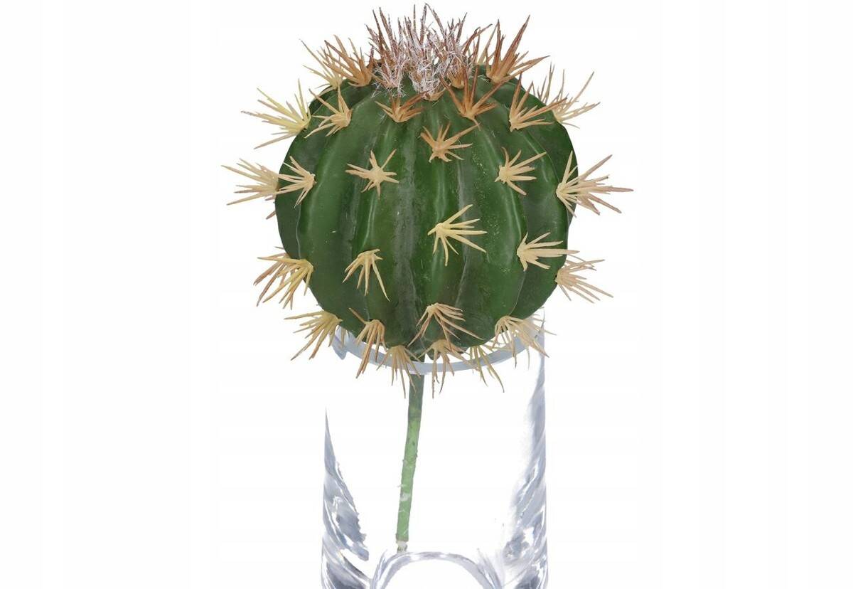 Kaktus dekoracyjny echinocactus 22/13cm (Zdjęcie 8)
