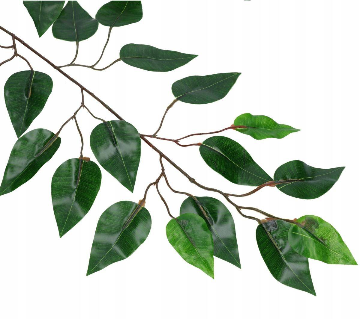 Liście fikusa dekoracyjnego 62cm zielony (Zdjęcie 6)