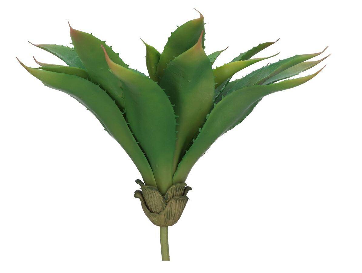 Kaktus dekoracyjny.agawa 30cm (Zdjęcie 2)