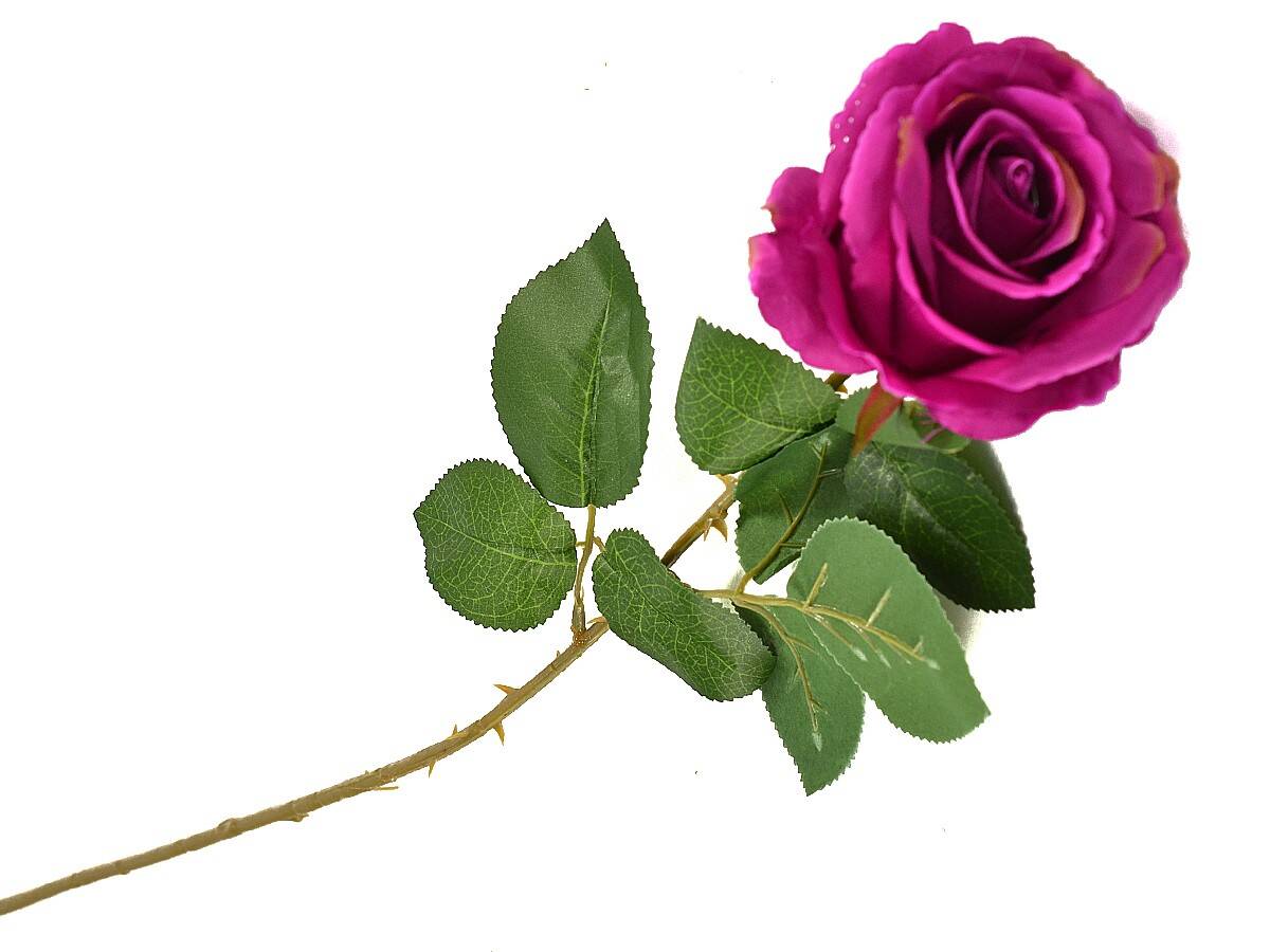 Róża pojedyncza 80cm amarant (Zdjęcie 3)