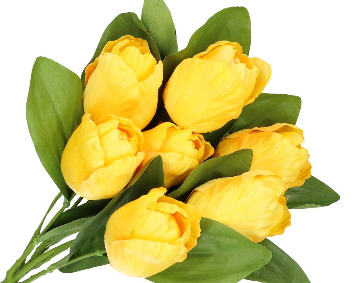 Bukiet tulipanów 7 szt. (Zdjęcie 1)