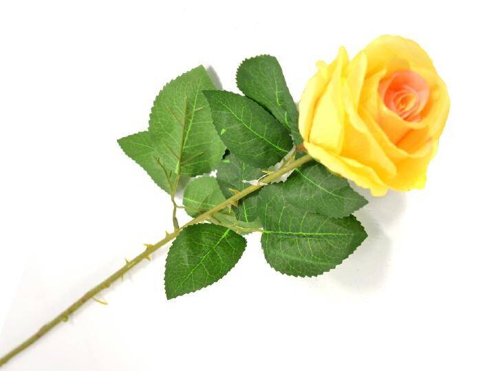 Róża pojedyncza 80cm żółta (Zdjęcie 3)