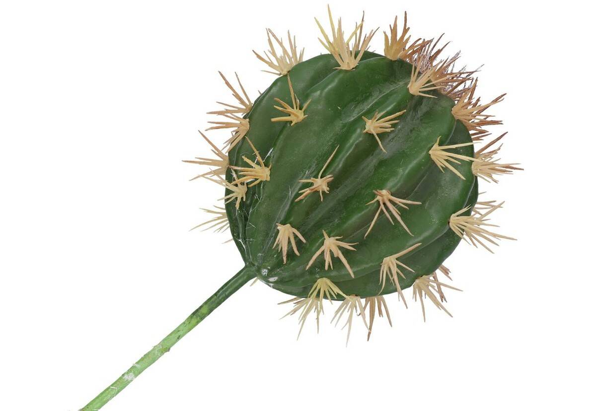 Kaktus dekoracyjny echinocactus 22/13cm (Zdjęcie 2)