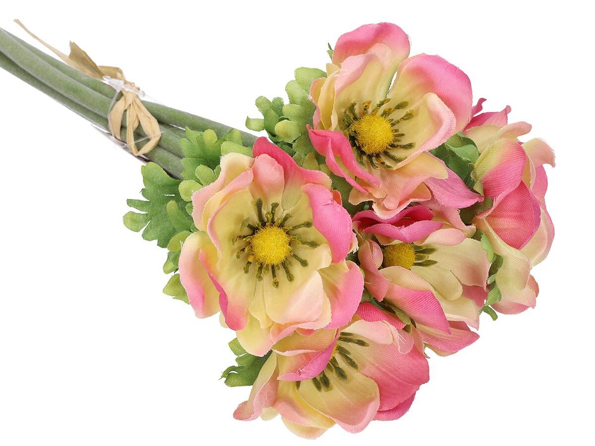 Anemon 6szt/pęcz. -szt.kwiat rożowo-żólt (Zdjęcie 5)