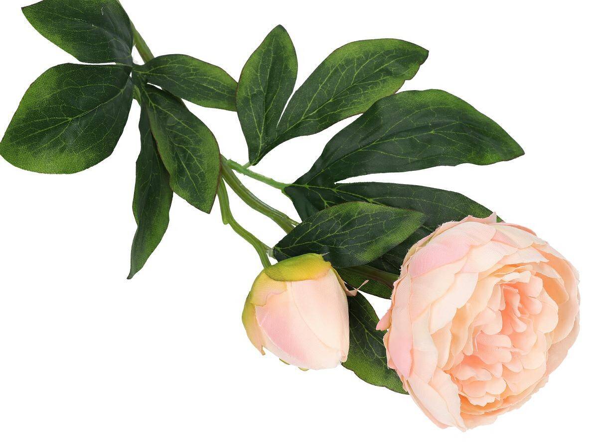 Peonia z pąkiem 65cm różowa (Zdjęcie 2)