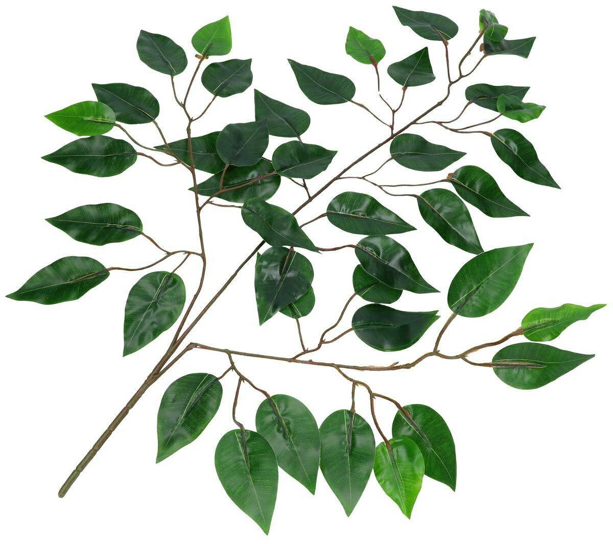 Liście fikusa dekoracyjnego 62cm zielony (Zdjęcie 1)