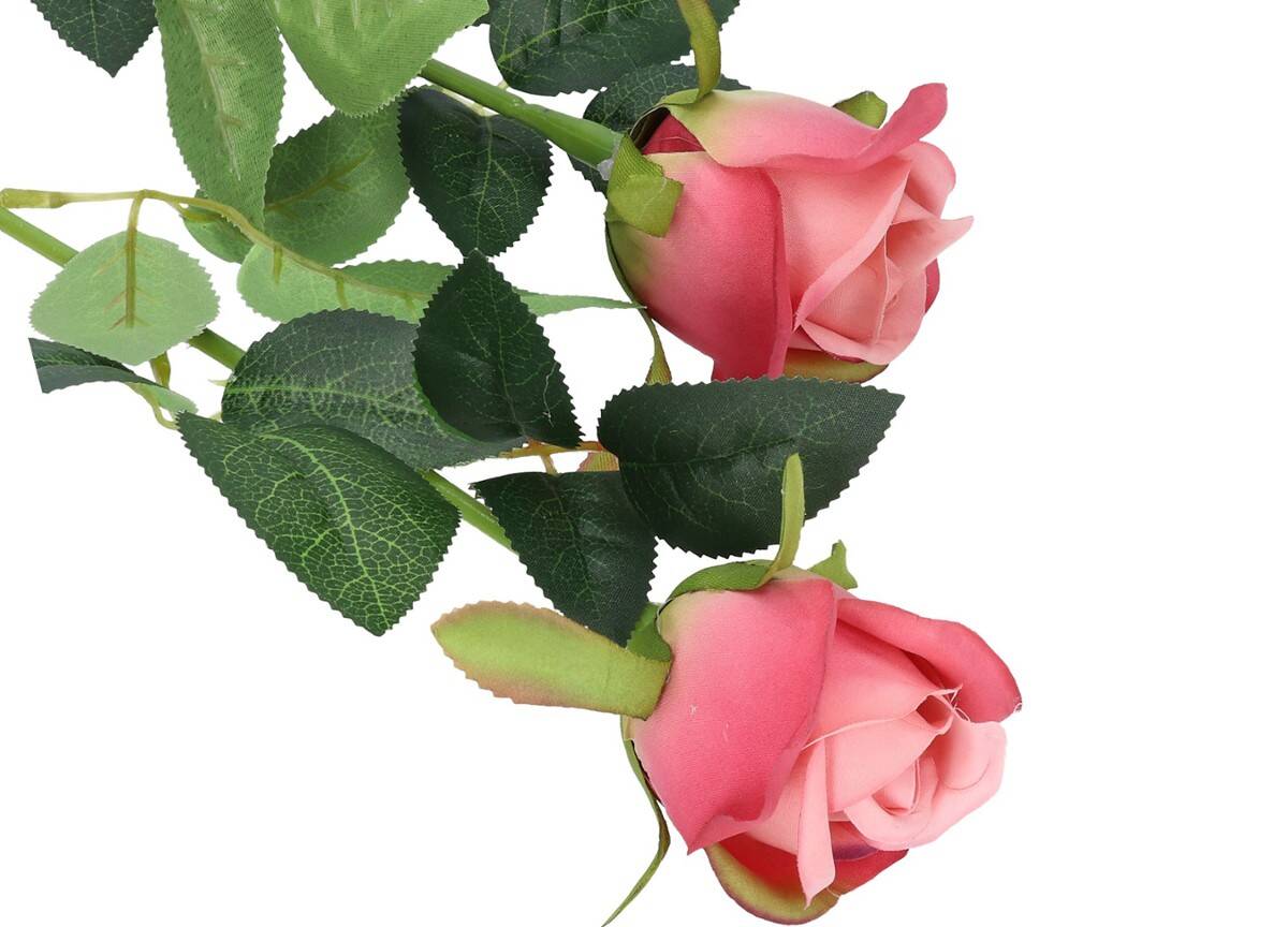 Róża pojedyncza 62cm 6cm  pudrowy róż (Zdjęcie 2)